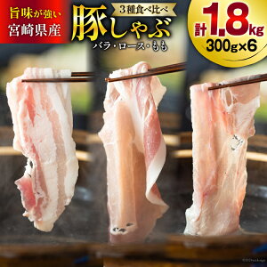 yӂ邳Ɣ[Łz ؓ XCX Hה o [X  e300g×2 v1.8kg [b㐸X {茧  31as0085] Ԃ  ^ ؂ Zbg 3 Ⓚ {茧Y  ؂