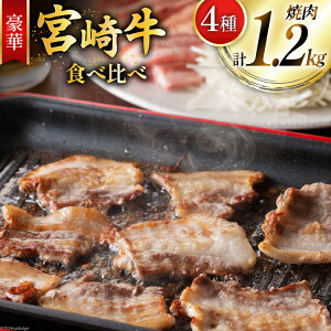 yӂ邳Ɣ[Łz  {苍 4 Hה ē v1.2kg [~`N {茧  31au0081] јa Ⓚ ē   [X Ef   o o