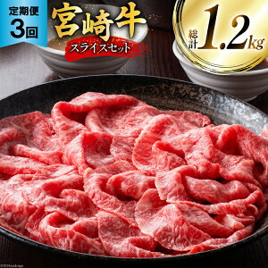 yӂ邳Ɣ[Łz   {苍XCXZbg 3 [~`N {茧  31au0086] XCX Ⓚ   {苍  [X Ef 