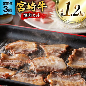 yӂ邳Ɣ[Łz   {苍ēZbg 3 [~`N {茧  31au0087] ē Ⓚ   {苍  [X Ef 