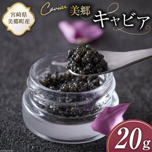 yӂ邳Ɣ[Łz  LrA `EU 20g [{LrA {茧  31az0011-NEW] 񂩂 LJ  t[o[ Ⓚ {茧Y