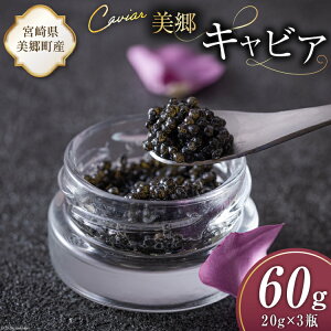 yӂ邳Ɣ[Łz  LrA `EU 60g [{LrA {茧  31az0015] 񂩂 LJ  t[o[ Ⓚ {茧Y