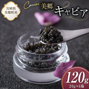 yӂ邳Ɣ[Łz  LrA `EU 120g [{LrA {茧  31az0018] 񂩂 LJ  t[o[ Ⓚ {茧Y