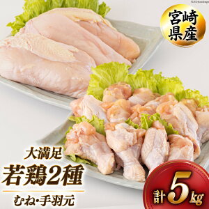 yӂ邳Ɣ[Łz { ނ H v5kg 1kg [AOYƏ {茧  31be0044]  { Ⓚ  uߕ ύ   e ^   wV[ g 