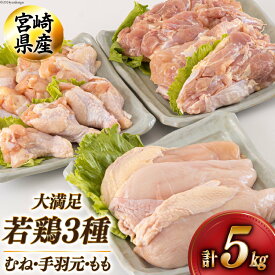 【ふるさと納税】 若鶏 むね 手羽元 もも 合計5kg 1kg包装 [アグリ産業匠泰 宮崎県 美郷町 31be0045] 小分け 鶏肉 冷凍 送料無料 炒め物 煮込み 調理 料理 大容量 真空 胸 ジューシー ヘルシー 唐揚げ からあげ チキン南蛮 照り焼き 甘辛煮 とり天 ヤンニョム チキン
