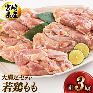 yӂ邳Ɣ[Łz {茧Y{1kg×3 v3kg [AOYƏ {茧  31be0046] Ⓚ  Y   {茧Y g `L eq ƂĂ  Ðh ȒP ^ 