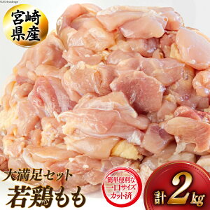 yӂ邳Ɣ[Łz {  ؂g 200g×10 v2kg [AOYƏ {茧  31be0047]  Zbg { ؐg Jbgς TCY Ⓚ  uߕ ύ g   e