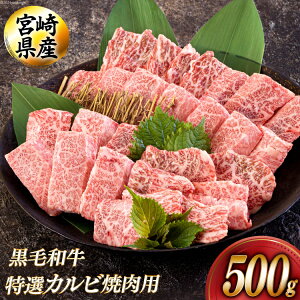 yӂ邳Ɣ[Łz јa I Jr ē 500g [AOYƏ {茧  31be0049]  u BBQ o[xL[ Lv ig    Y  pbN I Jr