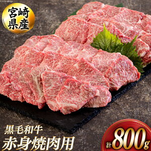 yӂ邳Ɣ[Łz јa Ԑg ē 400g×2 v800g [AOYƏ {茧  31be0051]  u BBQ o[xL[ Lv ύ ig    Y  pbN rr