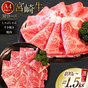 yӂ邳Ɣ[Łz Iׂ pr e  IA4ȏ {苍 [X [St[hT[rX {茧  31bm0063] Ԃ ē Ă Ⓚ A4 A5 јa Y {