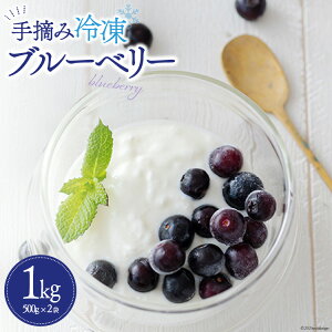 yӂ邳Ɣ[Łz u[x[ Ⓚ 500g × 2 1kg [_юY m {茧  31ab0135] Y E  [Og {茧Y  َq ͂ 