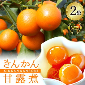 【ふるさと納税】完熟 きんかん 甘露煮 170g×2袋 セット [農林産物直売所 美郷ノ蔵 宮崎県 美郷町 31ab0096] おせち デザート 宮崎県産 美郷産 送料無料 金柑 フルーツ 果物 加工品 おやつ お菓子 手作り 手づくり 詰め合わせ ヨーグルト ギフト プレゼント 贈り物 お試し