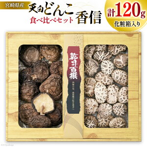 yӂ邳Ɣ[Łz {茧Y ő Hה Zbg V ǂ 80g M 40g 2 v120g  [cX {茧  31ac0044-NEW] ő ő  Y BY {茧Y M