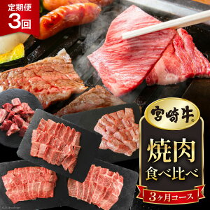 yӂ邳Ɣ[Łz 3  {苍 Ă Hה 3R[X v2.2kg [}~XgA {茧  31ag0137]     o Jr ē Ef r Ⓚ