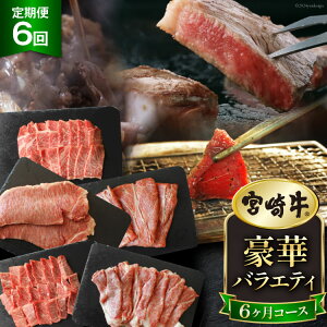 yӂ邳Ɣ[Łz 6  {苍  oGeB 6R[X v4.6kg [}~XgA {茧  31ag0139]      ē o [X XCX T[C Xe[L