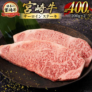 yӂ邳Ɣ[Łz {苍 T[C Xe[L 200g×2 v400g [ncg[ {茧  31aw0007]  Ⓚ tb܎ Y јa {茧Y uh  BBQ o[xL[