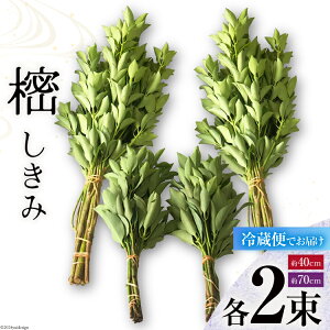 yӂ邳Ɣ[Łz   4 Zbg 70cm 40cm e2 [݉ {茧  31ay0003-NEW]  VL~ ފ   ފ Q {茧Y Y ①