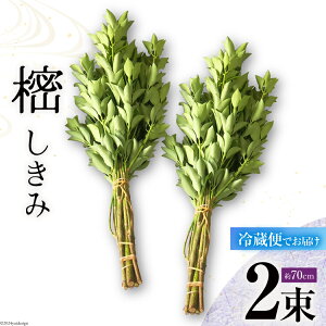 yӂ邳Ɣ[Łz   2 Zbg 70cm [݉ {茧  31ay0004-NEW]  VL~ ފ   ފ Q {茧Y Y ①