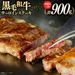 yӂ邳Ɣ[Łz {茧Y јa T[C Xe[L 300g×3 v900g [TAOt[Y {茧  31ba0026]  Ⓚ  Y   ~ BBQ o[xL[ Lv ^ 