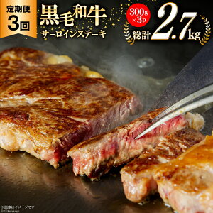 yӂ邳Ɣ[Łz 3  {茧Y јa T[C Xe[L 300g ×3×3 v2.7kg [TAOt[Y {茧  31ba0032]  Ⓚ  Y   ~ BBQ o[xL