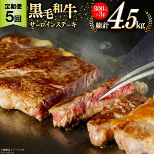yӂ邳Ɣ[Łz 5  {茧Y јa T[C Xe[L 300g ×3×5 v4.5kg [TAOt[Y {茧  31ba0034]  Ⓚ  Y   ~ BBQ o[xL