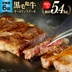 yӂ邳Ɣ[Łz 6  {茧Y јa T[C Xe[L 300g ×3×6 v5.4kg [TAOt[Y {茧  31ba0035]  Ⓚ  Y   ~ BBQ o[xL