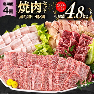 yӂ邳Ɣ[Łz 4  {茧Y ē Zbg јa  Jr ؃o {  v4.8kg e300g [TAOt[Y {茧  31ba0037-NEW]  Ⓚ  Y BBQ o[x
