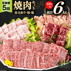 yӂ邳Ɣ[Łz  5  {茧Y ē Zbg јa  Jr ؃o {  e 300g v 6kg [TAOt[Y {茧  31ba0038-NEW]  Ⓚ Y lߍ킹 oY