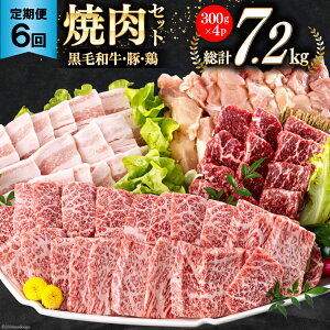 yӂ邳Ɣ[Łz 6  {茧Y ē Zbg јa  Jr ؃o {  v7.2kg e300g [TAOt[Y {茧  31ba0039-NEW]  Ⓚ  Y BBQ o[x