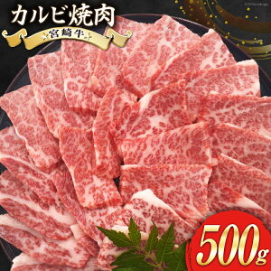 yӂ邳Ɣ[Łz  ē {苍 Jrē 500g [[JufBO {茧  31bb0033]  јa Jr Ă Ⓚ BBQ o[xL[ A4 A5 ɂ 