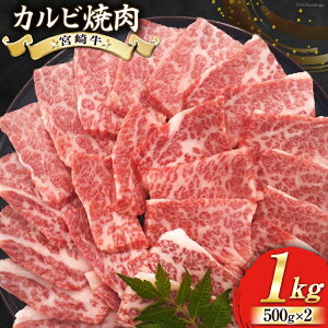 yӂ邳Ɣ[Łz y{苍z Jr ē 500g×2 v1kg [[JufBO {茧  31bb0034] a Y BBQ o[xL[  Jr ē  a Y { A4 A5