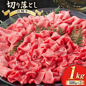 yӂ邳Ɣ[Łz y{苍z ؂藎Ƃ 500g×2 v1kg [[JufBO {茧  31bb0018-NEW]  a Y { A4 A5  Ԑg ē {茧Y Ⓚ  uh   