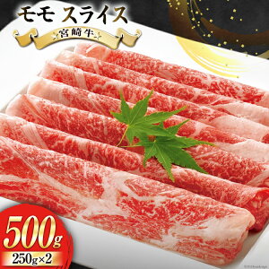 yӂ邳Ɣ[Łz y{苍z  XCX 250g×2 v500g 250gV[gŏ [[JufBO {茧  31bb0030] јa Y { A4 A5  Ă Ԃ Ă