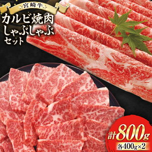 yӂ邳Ɣ[Łz y{苍z JrēEԂ Zbg v800g [[JufBO {茧  31bb0021-NEW]  Jr ē Ԃ  a Y { A4 A5