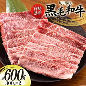 yӂ邳Ɣ[Łz {茧Y јa ؂藎Ƃ 300g×2 v600g [{n}[PeBO {茧  31bd0013-NEW]   J^ o ~bNX Ⓚ  Y   ؗ  