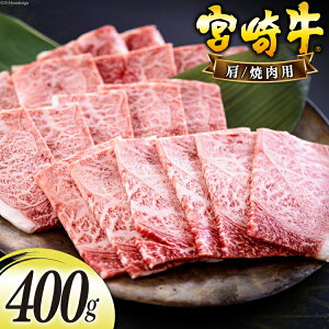 yӂ邳Ɣ[Łz {苍  J^ ē 400g [{n}[PeBO {茧  31bd0016-NEW] Ⓚ  Y  a A5 A4 uh   ~ ē BBQ o[xL[ Lv 