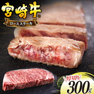 yӂ邳Ɣ[Łz {苍 ؂ [X Xe[L 300g [{n}[PeBO {茧  31bd0021] Ⓚ  Y  a A5 A4 uh   ~ ē BBQ o[xL[ L