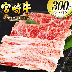 yӂ邳Ɣ[Łz {苍  o Ă 300g [{n}[PeBO {茧  31bd0022-NEW] Ⓚ  Y јa A5 A4 uh   ~  Ⴊ vRM 