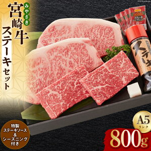 yӂ邳Ɣ[Łz {苍 A5 Ԑg 150g×2 T[C 250g×2 v800g Xe[L\[Xt Mtg [CO {茧  31bg0013] uh Ⓚ  Y   CO 