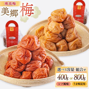 yӂ邳Ɣ[Łz ~ 썂~ ~ Iׂ e z V\  Zbg 3L TCY 400g or 800g [_юY m {茧  31ab0130] ~ Y Ai  lߍ킹 Hה