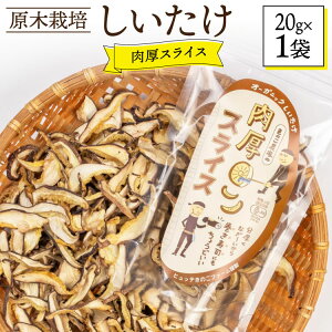 yӂ邳Ɣ[Łz    XCX  ő 20g [HUTTE {茧  31ao0022] i b  VC^P  