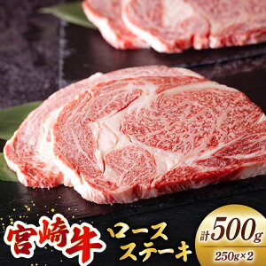 yӂ邳Ɣ[Łz {苍 [X Xe[L 250g×2[~`N {茧  31au0074]   Ⓚ {茧Y Y ~ TV BBQ o[xL[