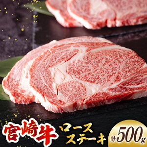 yӂ邳Ɣ[Łz {苍 [X Xe[L 2 v500g [~`N {茧  31au0093]   Ⓚ {茧Y Y ~ TV BBQ o[xL[