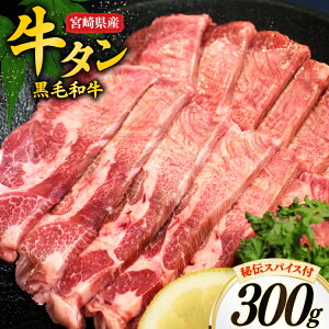 yӂ邳Ɣ[Łz  ^ {茧Y јa ^ XCX 300g ` XpCX t [I[`Y {茧  31bn0001] ؂ ؂   