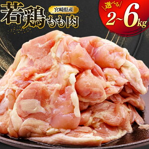 yӂ邳Ɣ[Łz {  {茧Y {  Iׂe 2kg 4kg 6kg [~PCt[h {茧  31bp0029]  Y Ⓚ  