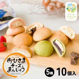 【ふるさと納税】そらいろチーズまんじゅう5種10個入 A-167