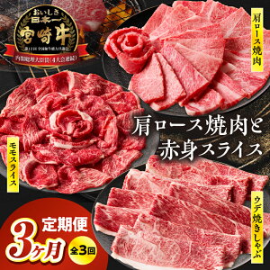 yӂ邳Ɣ[Łzsr[Ly[ty3ցz{苍~ēEԐgXCXĂ3 v1.5kg S3  {苍 Y a  Ă Ԃ 
