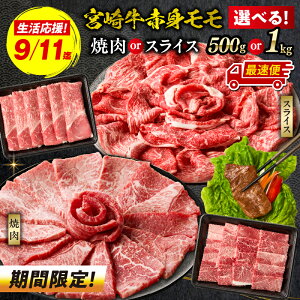 yӂ邳Ɣ[Łz9/11܂ ē Ă {苍Ԑg 500g`1kg ēorXCX {苍 Y a  Ԃ Ԑg  XCX Mtg ~`N ] A4ȏ r[L