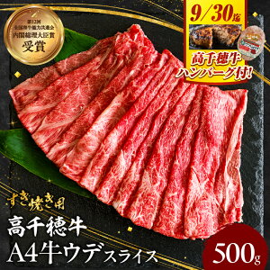 yӂ邳Ɣ[Łzsr[Ly[tyԌz{茧YјaA4ȏ 䋍EfXCXĂp 500g + 䋍100no[O1 EfXCX     A4 