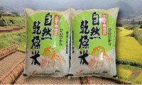 【ふるさと納税】C-6自然乾燥米10kg